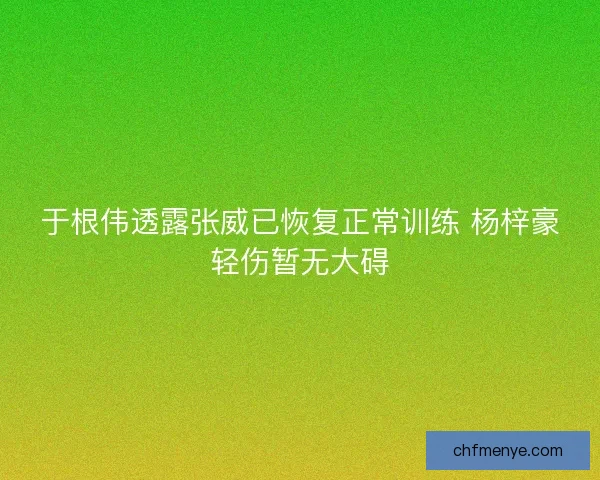 于根伟透露张威已恢复正常训练 杨梓豪轻伤暂无大碍 于根伟透露张威已恢复正常训练 杨梓豪轻伤暂无大碍