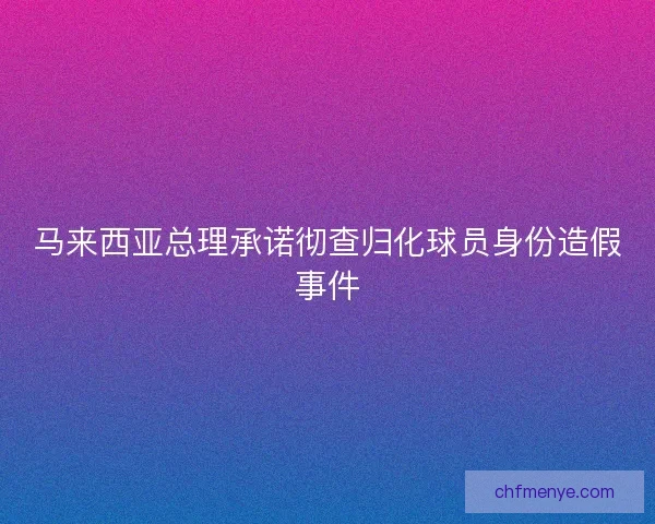 马来西亚总理承诺彻查归化球员身份造假事件 马来西亚总理承诺彻查归化球员身份造假事件